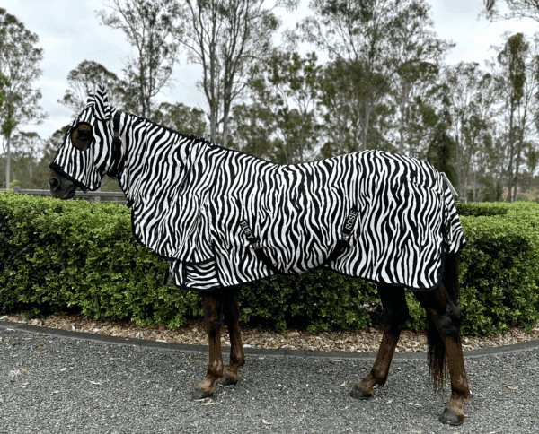 Hooded Full Mesh Rug - Zebra