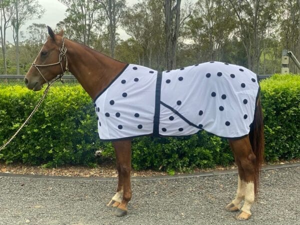 Magnetic Rug - Horse Rug